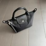 Long Champ 02 size  17x14x10cm