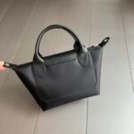 Long Champ 02 size  17x14x10cm