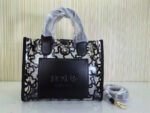 T0US transpatent medium bag 5252-164